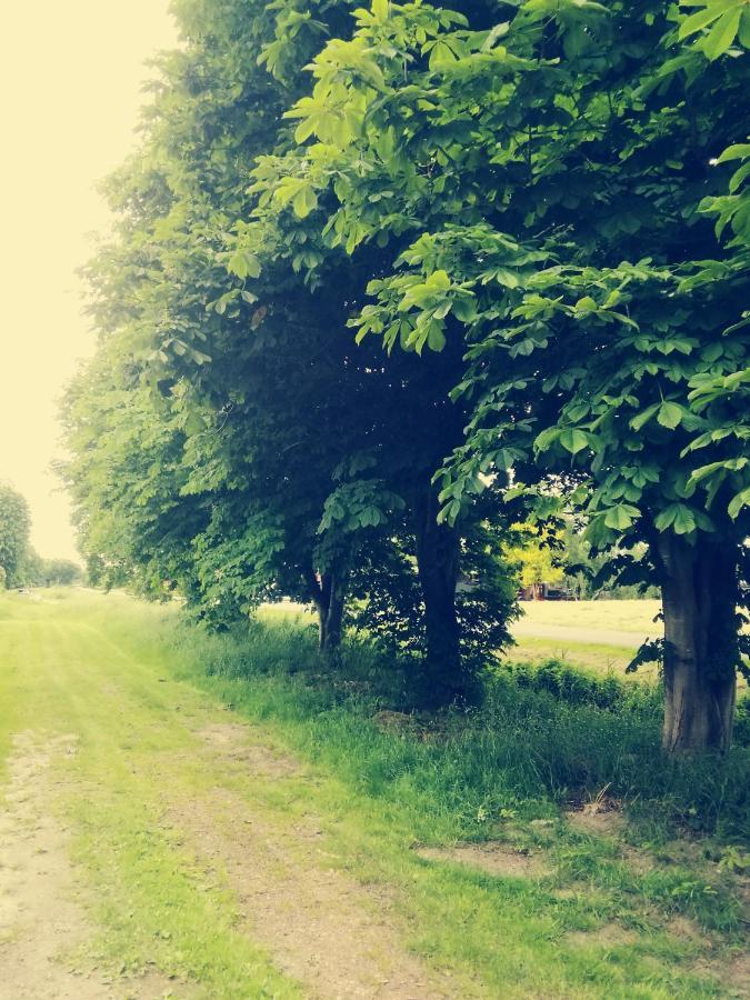 Fewo Unner'D Kastanje Moormerland Екстер'єр фото