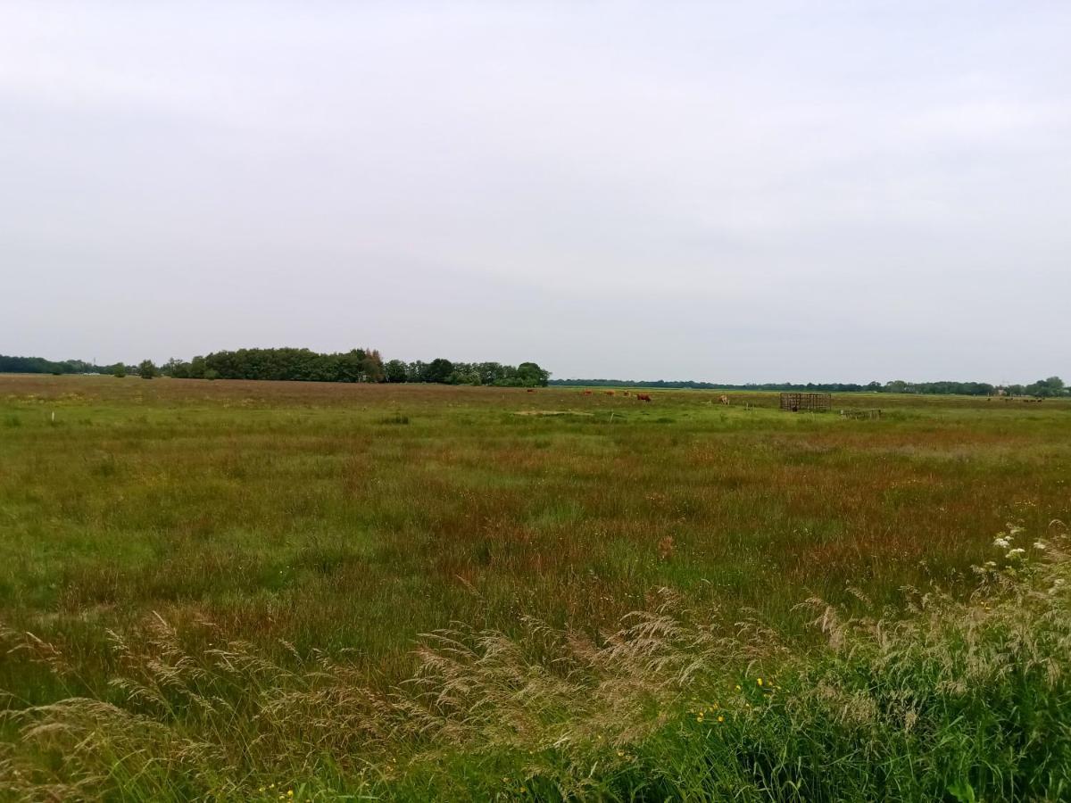 Fewo Unner'D Kastanje Moormerland Екстер'єр фото